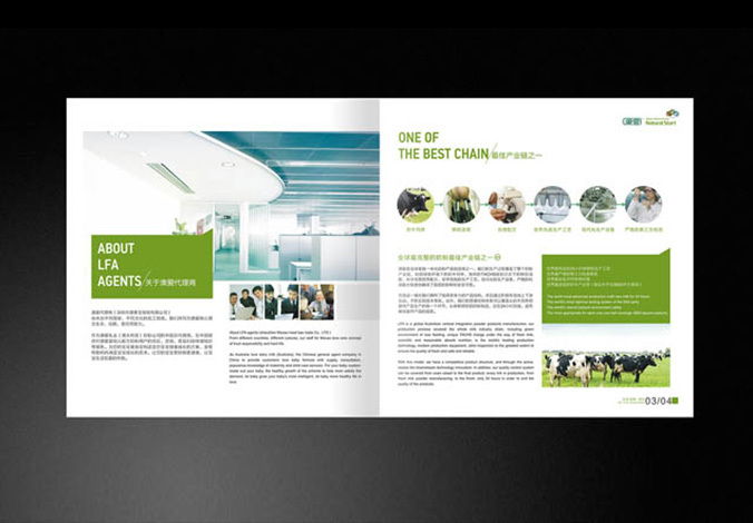 畫冊設計，標志設計，VI設計，交互設計，包裝設計，空間導示，數志視頻，廣告創意設計，博納設計