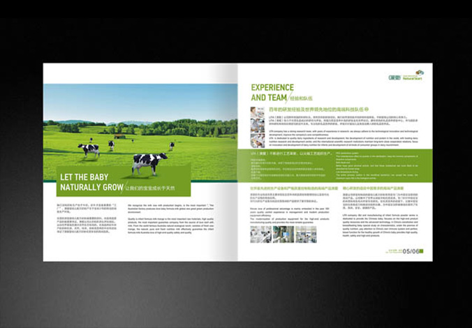 畫冊設計，標志設計，VI設計，交互設計，包裝設計，空間導示，數志視頻，廣告創意設計，博納設計