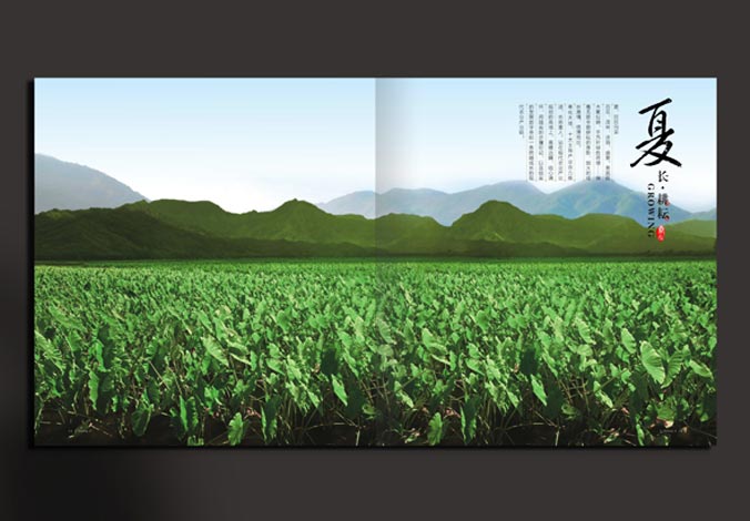 畫冊設計，標志設計，VI設計，交互設計，包裝設計，空間導示，數志視頻，廣告創意設計，博納設計