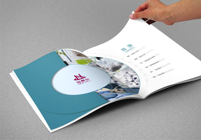 紐賽爾畫(huà)冊(cè)設(shè)計(jì)