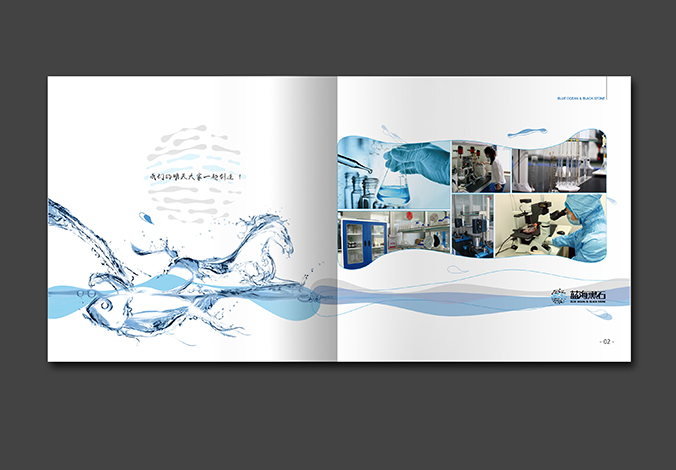 藍(lán)海黑石 畫冊設(shè)計(jì) 宣傳冊設(shè)計(jì) 商標(biāo)設(shè)計(jì) 標(biāo)志設(shè)計(jì) logo設(shè)計(jì) VI設(shè)計(jì) 品牌設(shè)計(jì) 公司商標(biāo)設(shè)計(jì)  企業(yè)標(biāo)志設(shè)計(jì) 公司標(biāo)志設(shè)計(jì) 企業(yè)logo設(shè)計(jì) 企業(yè)VI設(shè)計(jì) 企業(yè)品牌設(shè)計(jì) 北京彩頁設(shè)計(jì)