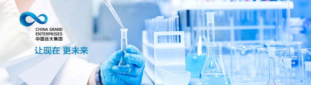 中國遠(yuǎn)大集團(tuán)