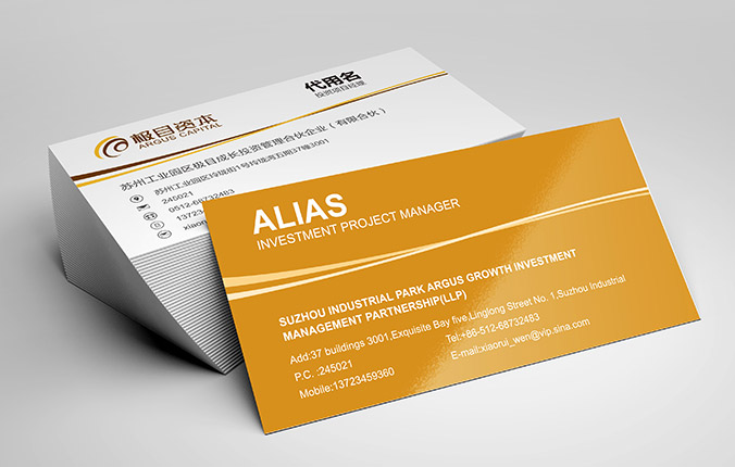 極目資本 logo設計 商標設計 標志設計 企業logo設計 VI設計 VI設計公司 品牌設計 品牌設計公司 包裝設計 產品包裝設計 包裝盒設計 畫冊設計 宣傳冊設計 北京彩頁設計