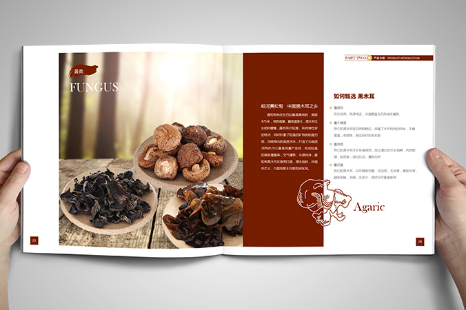 美參堂  北京宣傳冊設(shè)計  產(chǎn)品畫冊設(shè)計  企業(yè)宣傳冊設(shè)計