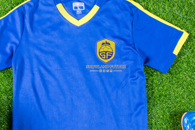 雪域未來(lái) logo設(shè)計(jì) 公司logo設(shè)計(jì) 企業(yè)標(biāo)志設(shè)計(jì)