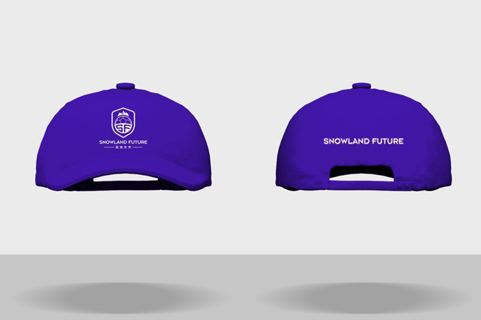 雪域未來(lái) logo設(shè)計(jì) 公司logo設(shè)計(jì) 企業(yè)標(biāo)志設(shè)計(jì)