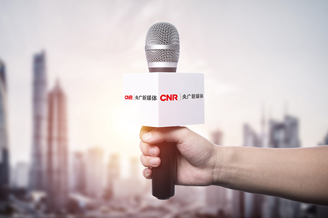 VI設計  公司VI設計  品牌設計  央廣新媒體