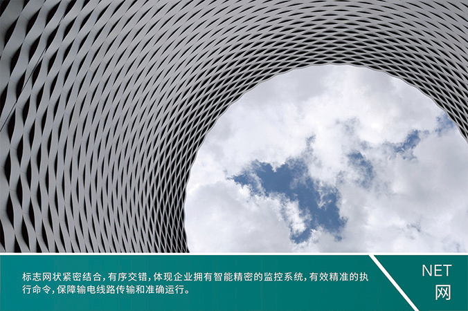 商標(biāo)設(shè)計，產(chǎn)品商標(biāo)設(shè)計，logo設(shè)計   中國電科院-風(fēng)險智控系統(tǒng)