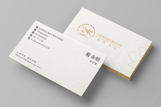 VI設計   公司VI設計  企業品牌設計  瑞嵐酒店