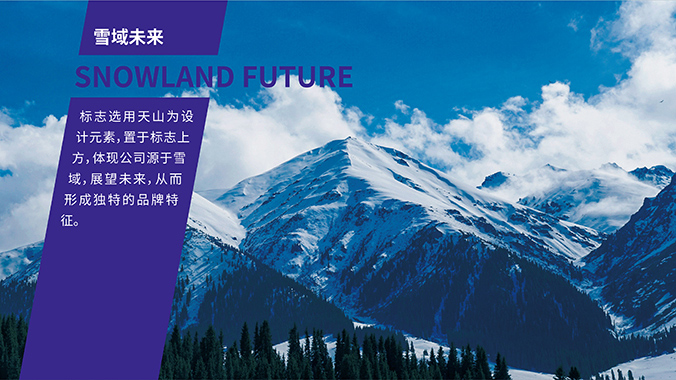 雪域未來(lái) logo設(shè)計(jì) 公司logo設(shè)計(jì) 企業(yè)標(biāo)志設(shè)計(jì)