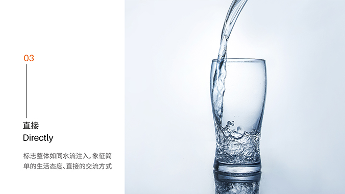 logo設計  品牌設計  品牌VI設計   直白