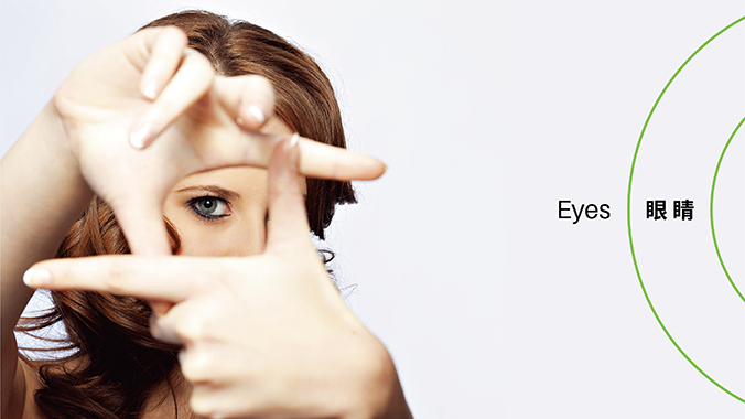 品牌設計，VI設計，企業(yè)VI設計   中知認證