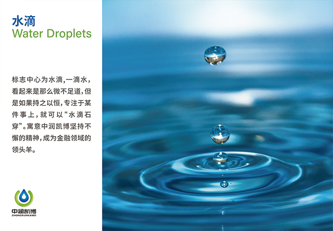 logo設(shè)計(jì) 品牌vi設(shè)計(jì)  企業(yè)vi設(shè)計(jì)   中潤(rùn)凱博科技