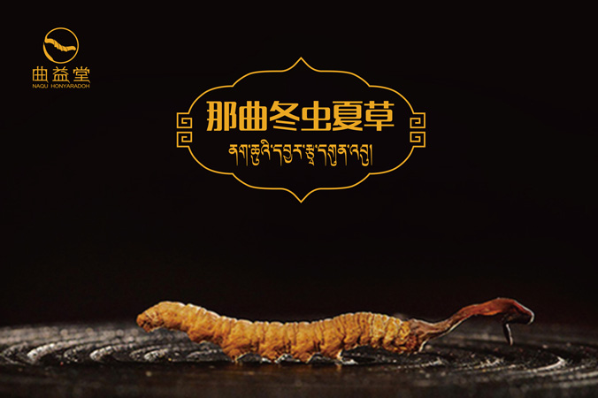 曲益堂 包裝設計 產品包裝設計 包裝盒設計