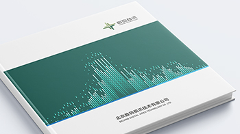 數碼視訊科技集團